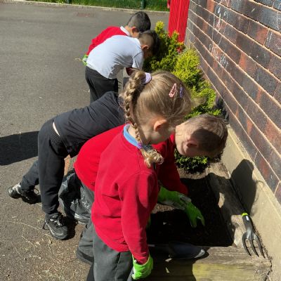 A Planting Project