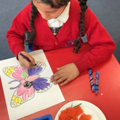 Outdoor Learning