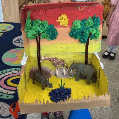 🌍📦 Exploring Habitats in Reception! 🦁🐠🐧
