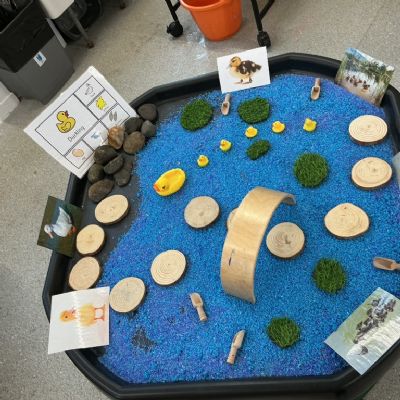 Our Class - Ducklings 🐥