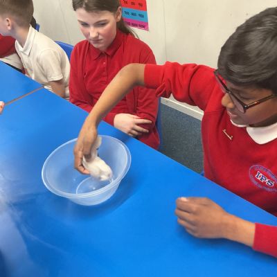 British Science Week - Eagles