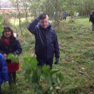 Forest School Learning