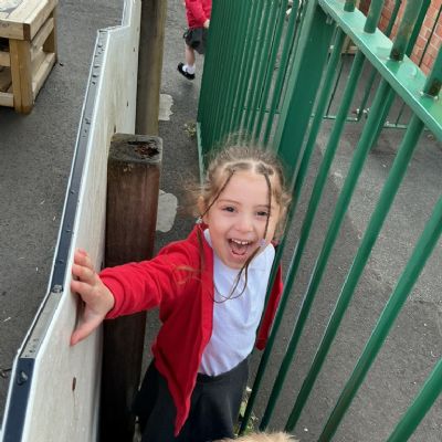 Fresh Air and Friendships